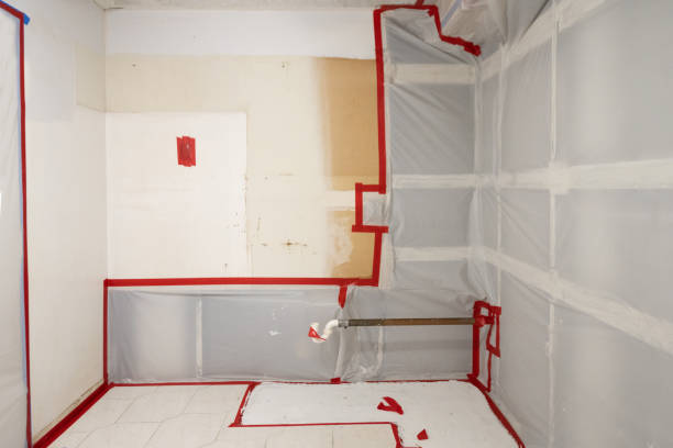 Best Emergency Mold Remediation  in Hoopeston, IL